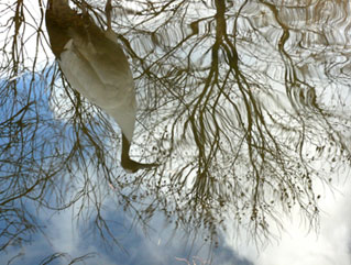 Photo of water surface
